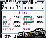 Legend of the River King 2 (Game Boy Color)