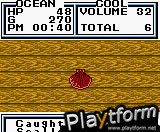 Legend of the River King 2 (Game Boy Color)