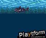 Legend of the River King 2 (Game Boy Color)