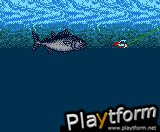 Legend of the River King 2 (Game Boy Color)