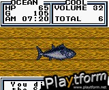 Legend of the River King 2 (Game Boy Color)