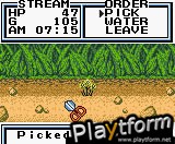 Legend of the River King 2 (Game Boy Color)