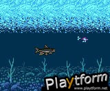 Legend of the River King 2 (Game Boy Color)