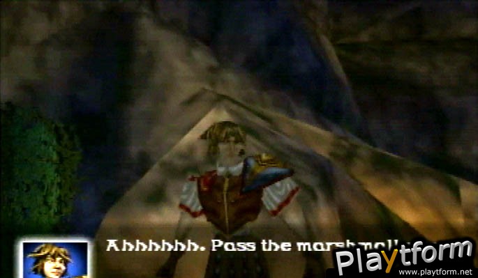 Aidyn Chronicles: The First Mage (Nintendo 64)