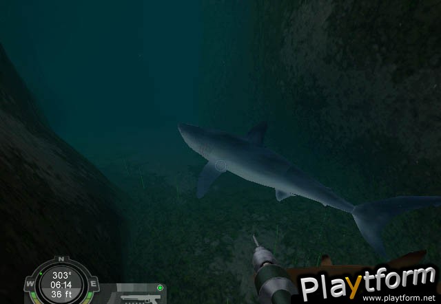 Shark! Hunting the Great White (PC)