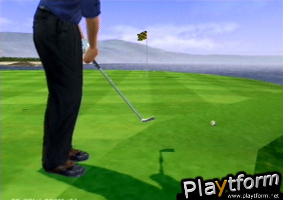Tiger Woods PGA Tour 2001 (PlayStation 2)