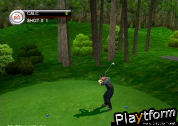 Tiger Woods PGA Tour 2001 (PlayStation 2)
