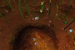 Empire of the Ants (PC)