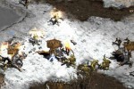Diablo II: Lord of Destruction (PC)