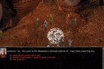 Baldur's Gate II: Throne of Bhaal (PC)