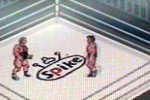 Fire Pro Wrestling (Game Boy Advance)