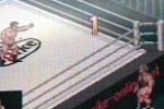 Fire Pro Wrestling (Game Boy Advance)