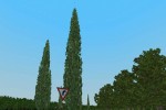 World War II Online: Blitzkrieg (PC)