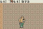 The Legend of Zelda: Oracle of Seasons (Game Boy Color)