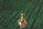 Gauntlet Dark Legacy (PlayStation 2)