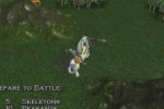 Heroes of Might and Magic: Quest for the Dragon Bone Staff (PlayStation 2)
