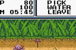 Legend of the River King 2 (Game Boy Color)