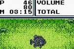 Legend of the River King 2 (Game Boy Color)