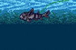 Legend of the River King 2 (Game Boy Color)