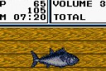 Legend of the River King 2 (Game Boy Color)