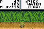 Legend of the River King 2 (Game Boy Color)