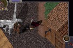 Ultima Online: Third Dawn (PC)