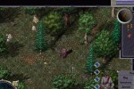 Ultima Online: Third Dawn (PC)