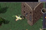 Ultima Online: Third Dawn (PC)