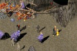 Ultima Online: Third Dawn (PC)