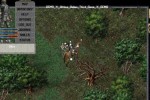 Ultima Online: Third Dawn (PC)