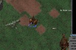 Ultima Online: Third Dawn (PC)