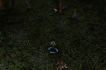 Summoner (PC)