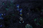 Summoner (PC)