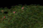 Kohan: Immortal Sovereigns (PC)