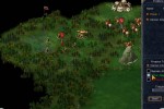 Kohan: Immortal Sovereigns (PC)
