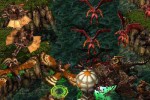 Kingdom Under Fire: A War of Heroes (PC)