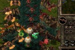 Kingdom Under Fire: A War of Heroes (PC)