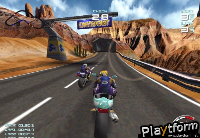 Suzuki Alstare Extreme Racing (PC)