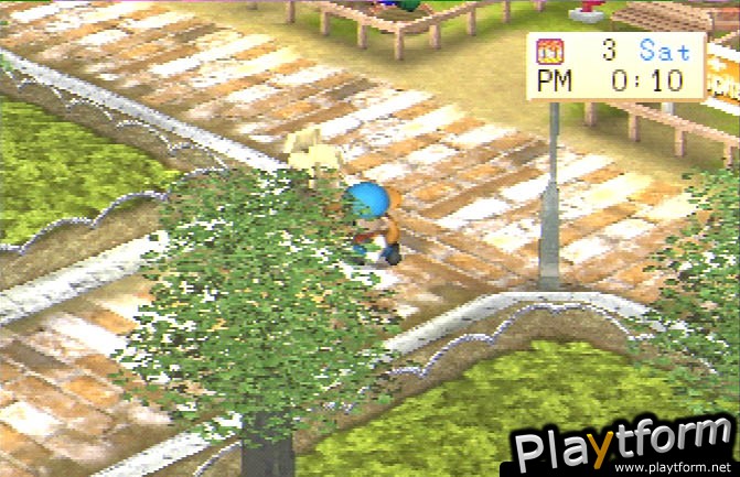 Harvest Moon: Back To Nature (PlayStation)