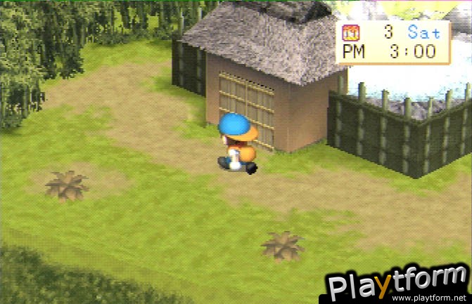 Harvest Moon: Back To Nature (PlayStation)