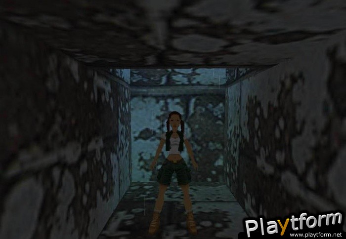 Tomb Raider: Chronicles (PC)