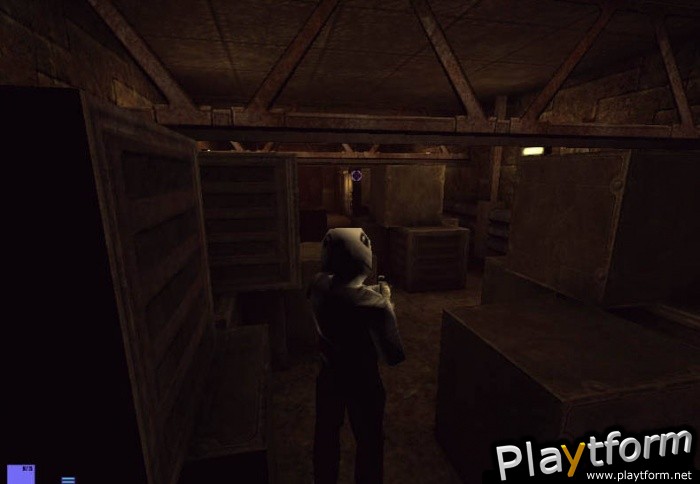 Star Trek: Deep Space Nine: The Fallen (PC)