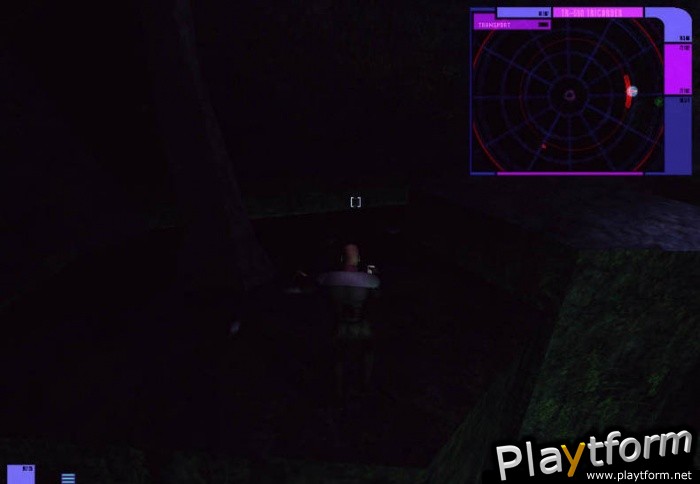 Star Trek: Deep Space Nine: The Fallen (PC)