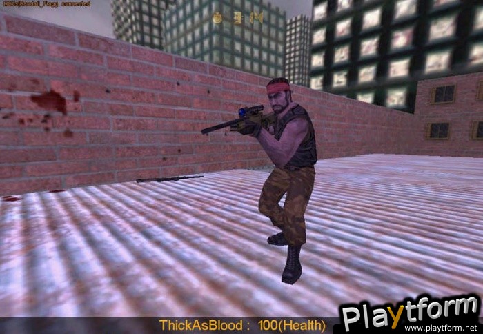 Half-Life: Counter-Strike (PC)