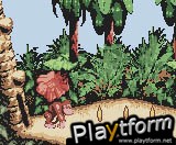 Donkey Kong Country (Game Boy Color)