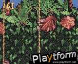 Donkey Kong Country (Game Boy Color)