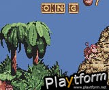 Donkey Kong Country (Game Boy Color)