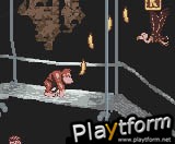 Donkey Kong Country (Game Boy Color)