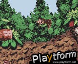 Donkey Kong Country (Game Boy Color)