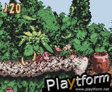 Donkey Kong Country (Game Boy Color)